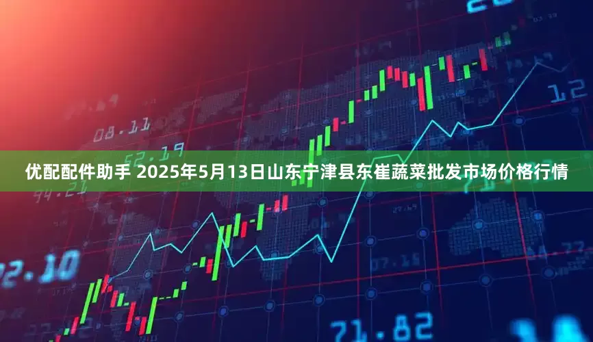 优配配件助手 2025年5月13日山东宁津县东崔蔬菜批发市场价格行情