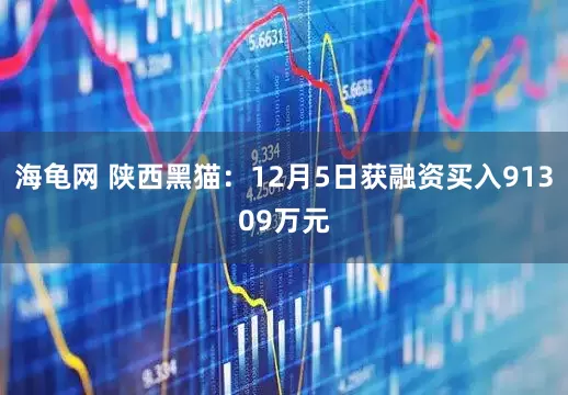 海龟网 陕西黑猫：12月5日获融资买入91309万元